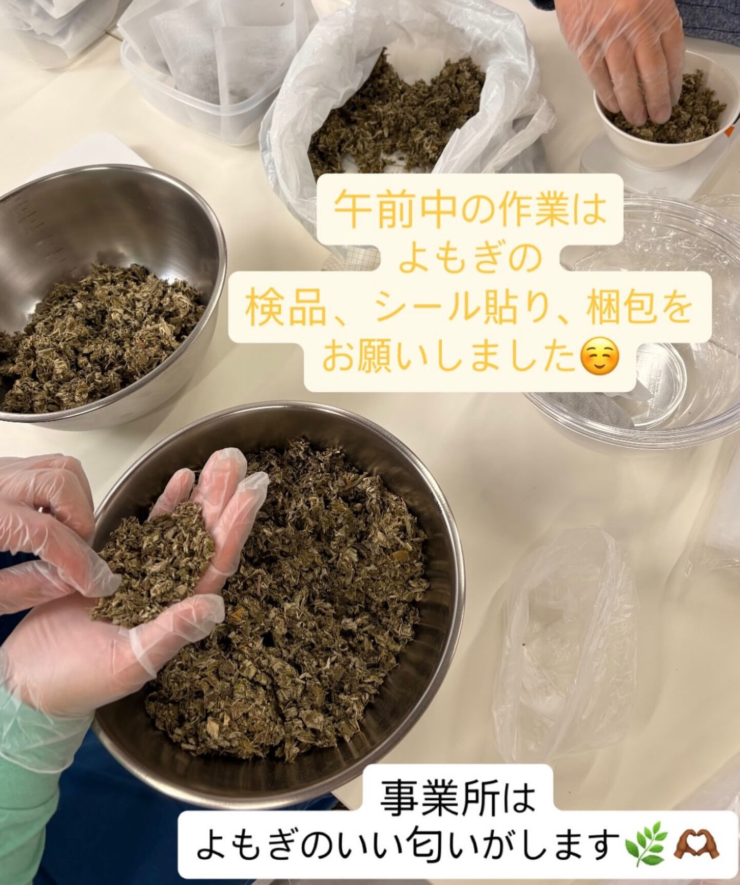 ＼ 肌寒くなってきた今こそ🌿 ／